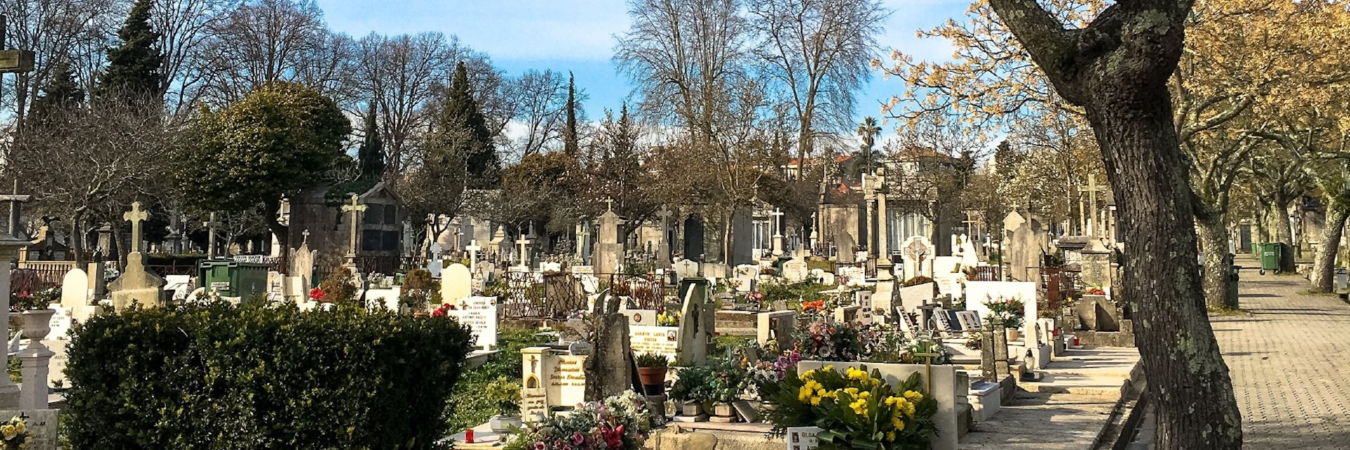 Cemitério do Prado do Repouso