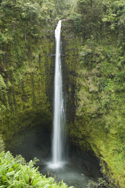 Akaka Falls, Hamakua Coast, Waimea Reagion.