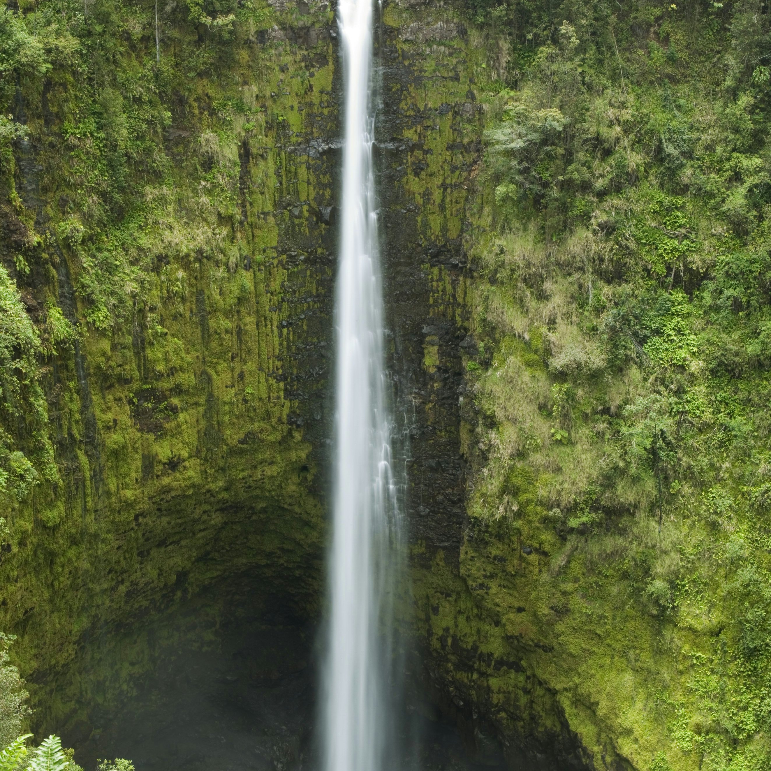 Akaka Falls, Hamakua Coast, Waimea Reagion.