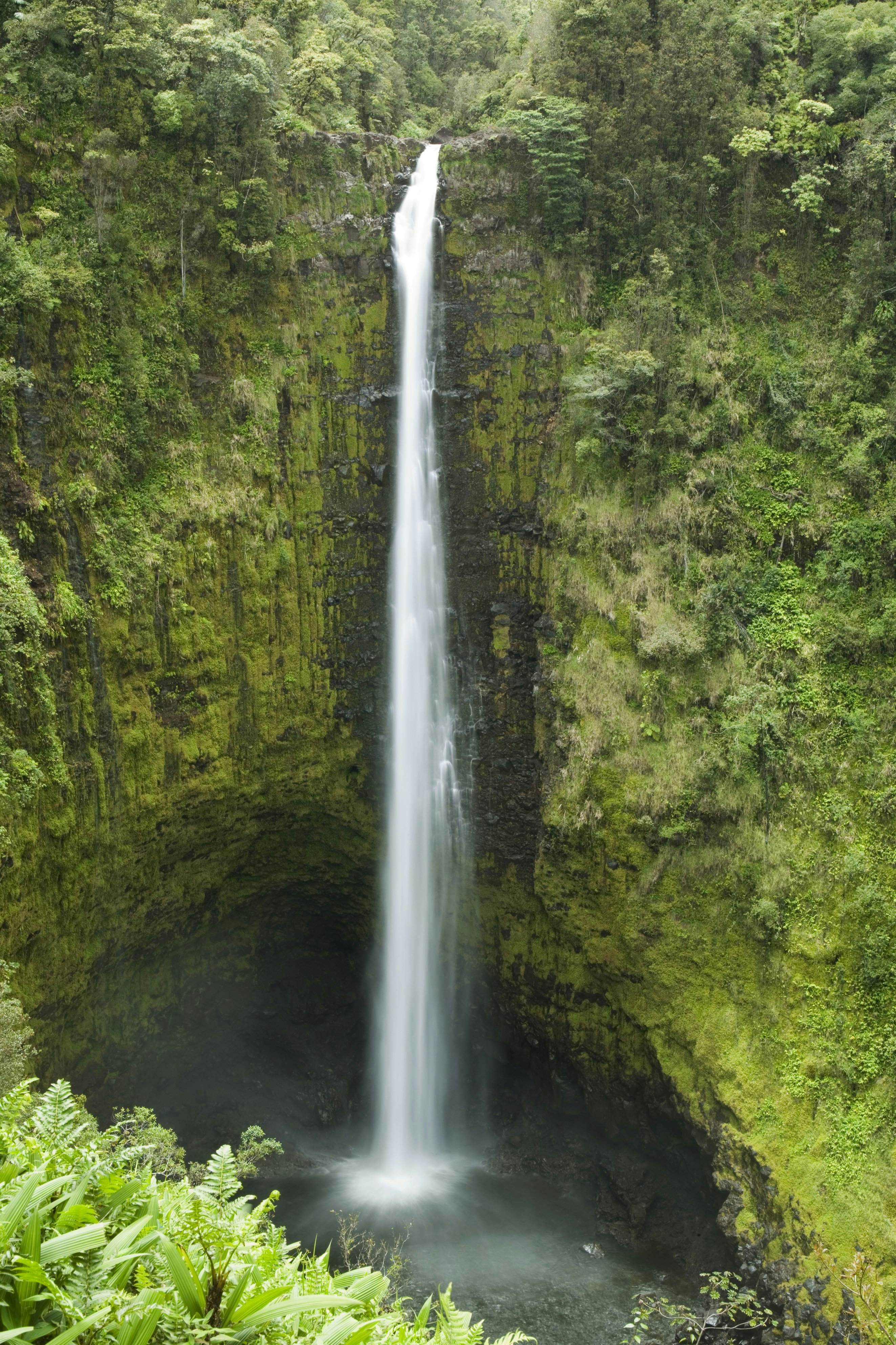 Escape To Paradise: Kalopa State Recreation Area, Hawaii’s Hidden Gem