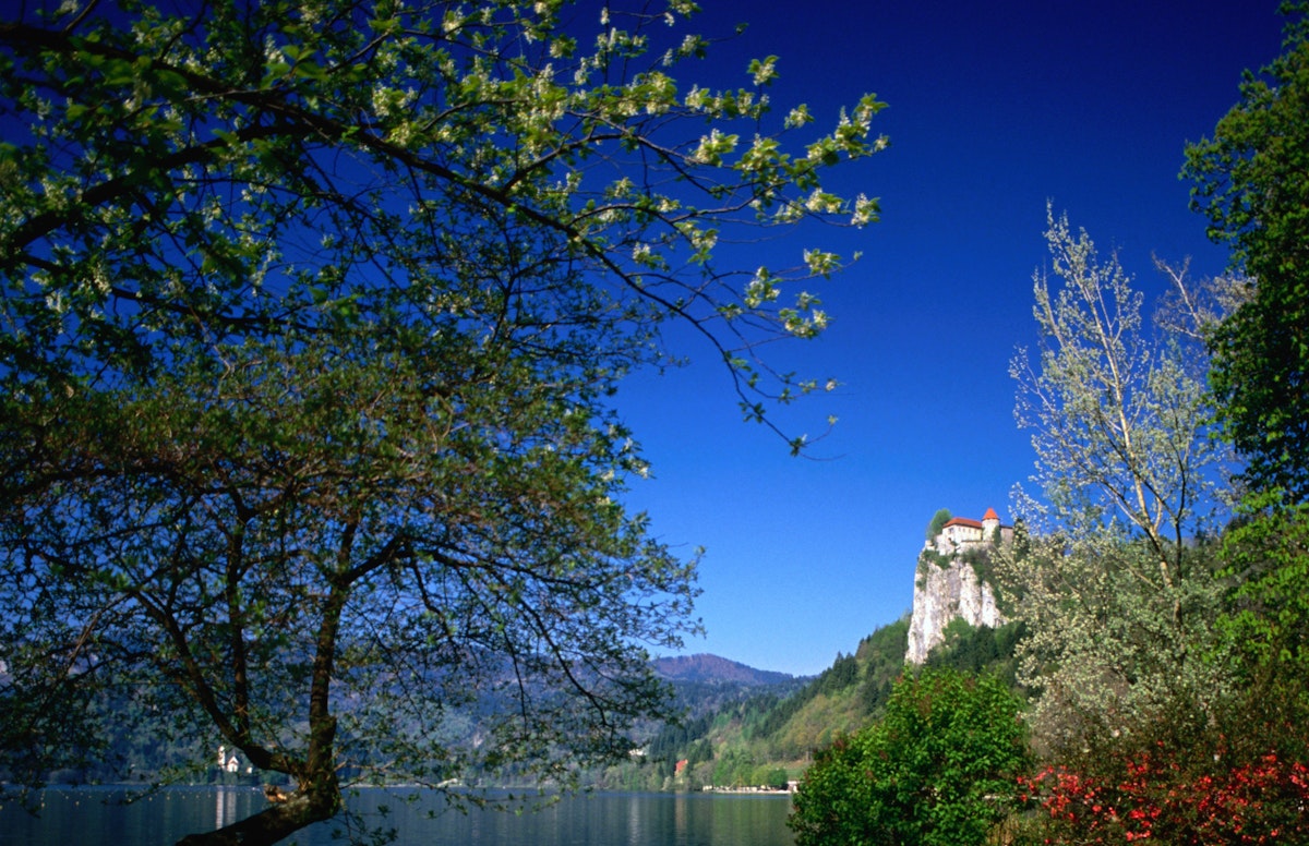 Perched on a cliff, Bled Castle (Blejski Grad) overlooks the picturesque Lake Bled.