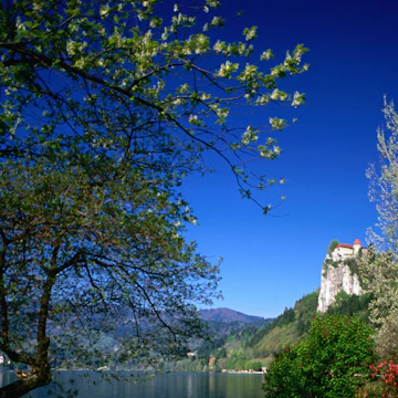 Perched on a cliff, Bled Castle (Blejski Grad) overlooks the picturesque Lake Bled.