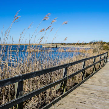 Raised walkway through marsh at Back Bay National Wildlife Refuge in Virginia Beach, Virginia. ; Shutterstock ID 511038628; Your name (First / Last): Trisha Ping; GL account no.: 65050; Netsuite department name: Online Editorial; Full Product or Project name including edition: Trisha Ping/65050/Online Editorial/Virginia