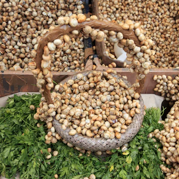 Small snail-like creatures for sale at Ballaro market.