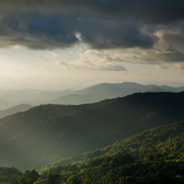 Dense forests and mountains in Doi Suthep-Pui National Park.