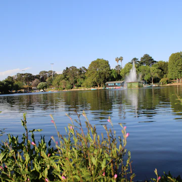 Zoo Lake