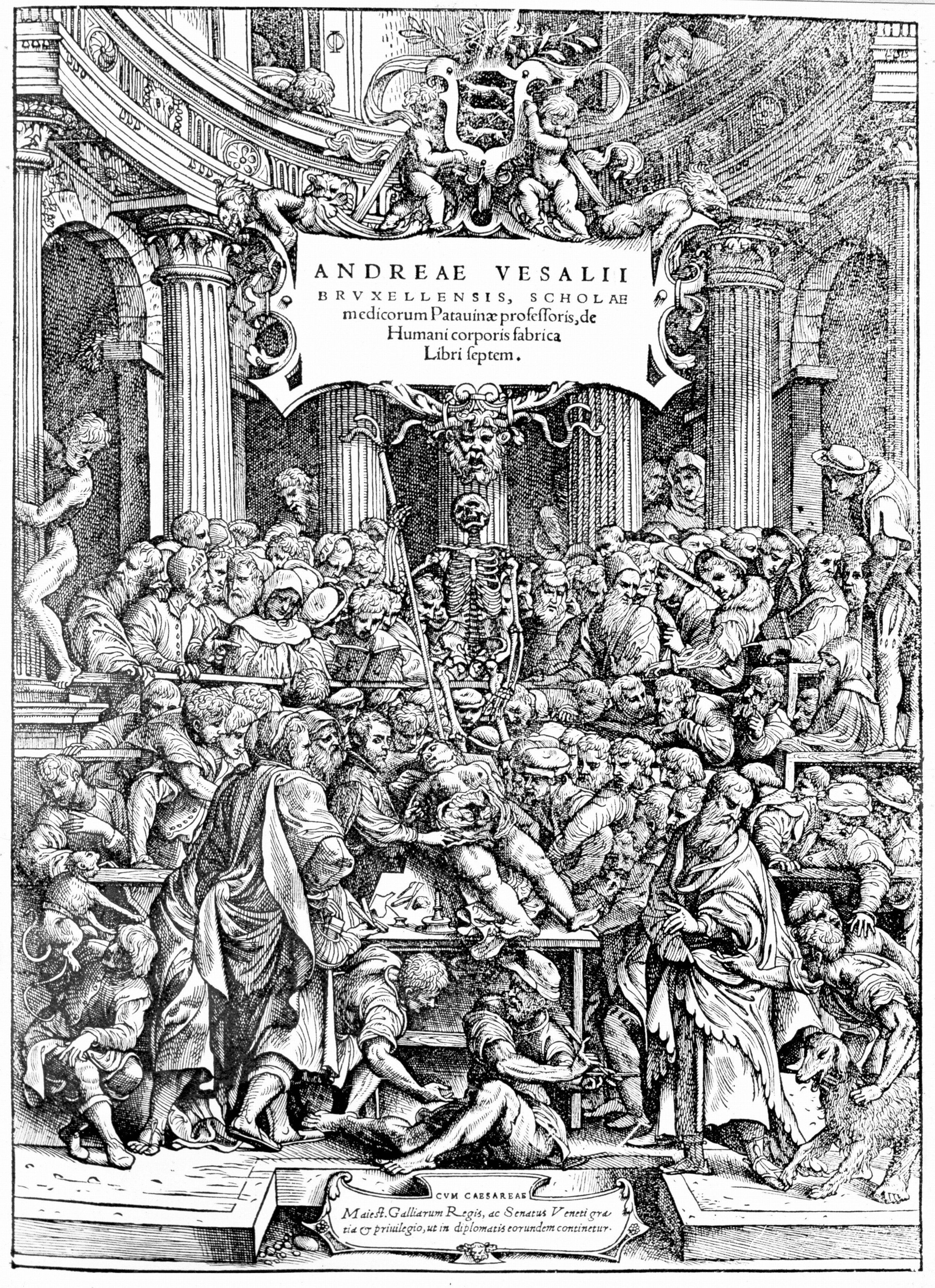 Title page of De Humani Corporis Fabrica
