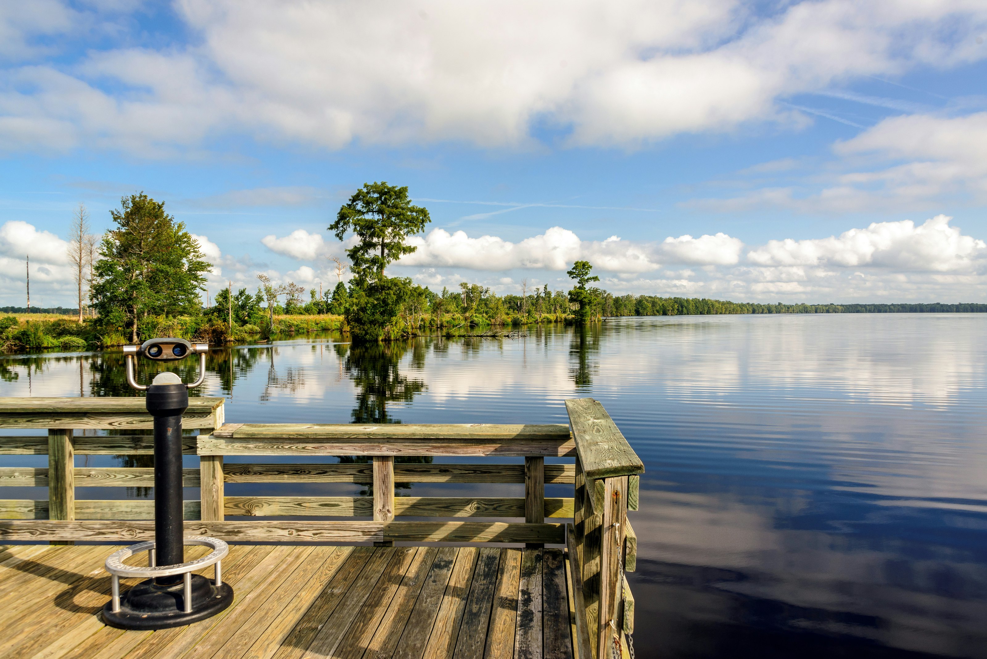 Lake Drummond a freshwater lake at the center of the Great Dismal Swamp, a marshy region on the Coastal Plain of southeastern Virginia and northeastern North Carolina.; Shutterstock ID 274992173; Your name (First / Last): Trisha Ping; GL account no.: 65050; Netsuite department name: Online Editorial; Full Product or Project name including edition: Trisha Ping/65050/Online Editorial/Virginia