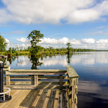 Lake Drummond a freshwater lake at the center of the Great Dismal Swamp, a marshy region on the Coastal Plain of southeastern Virginia and northeastern North Carolina.; Shutterstock ID 274992173; Your name (First / Last): Trisha Ping; GL account no.: 65050; Netsuite department name: Online Editorial; Full Product or Project name including edition: Trisha Ping/65050/Online Editorial/Virginia