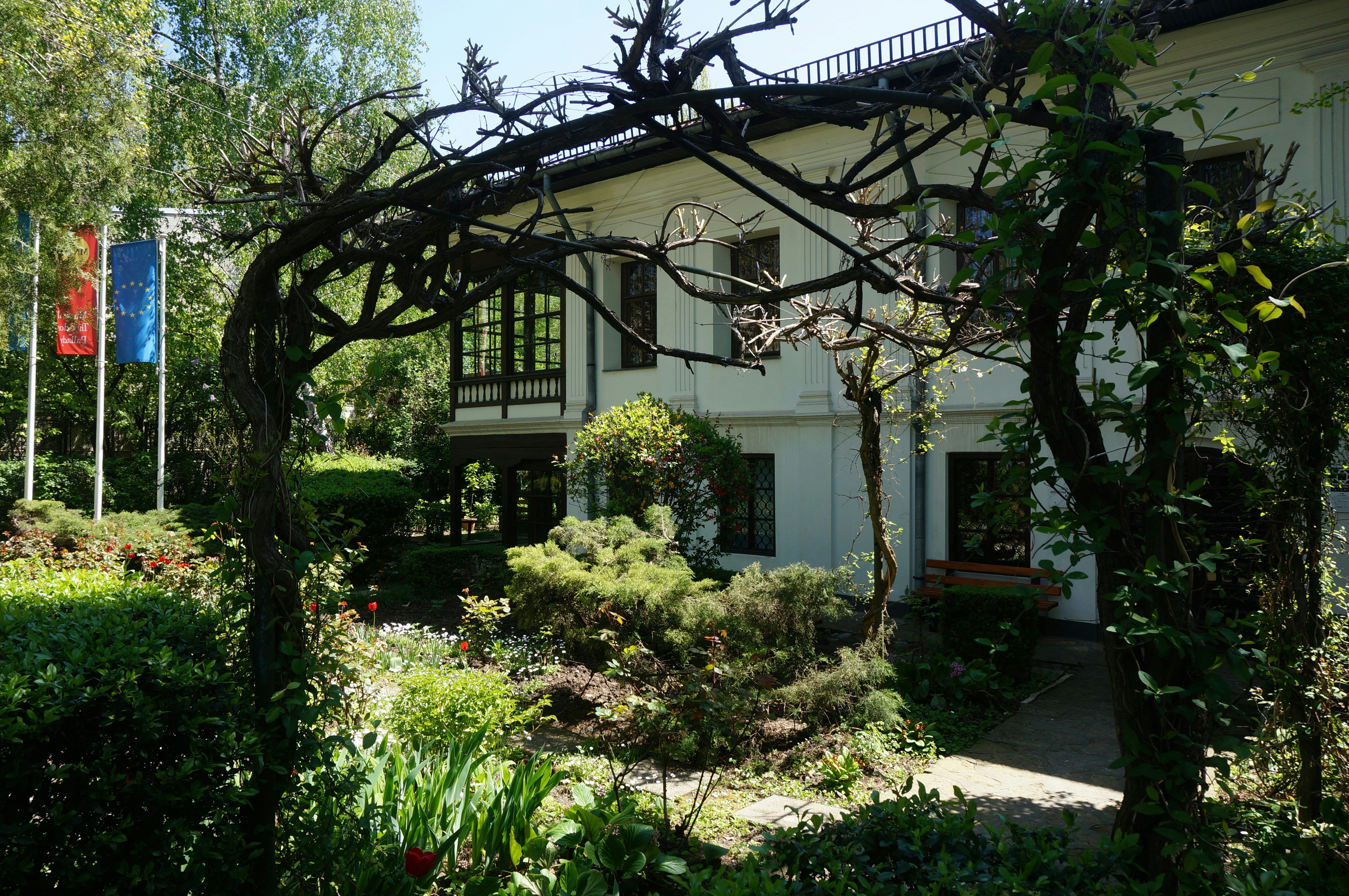 Image of Theodor Pallady Museum