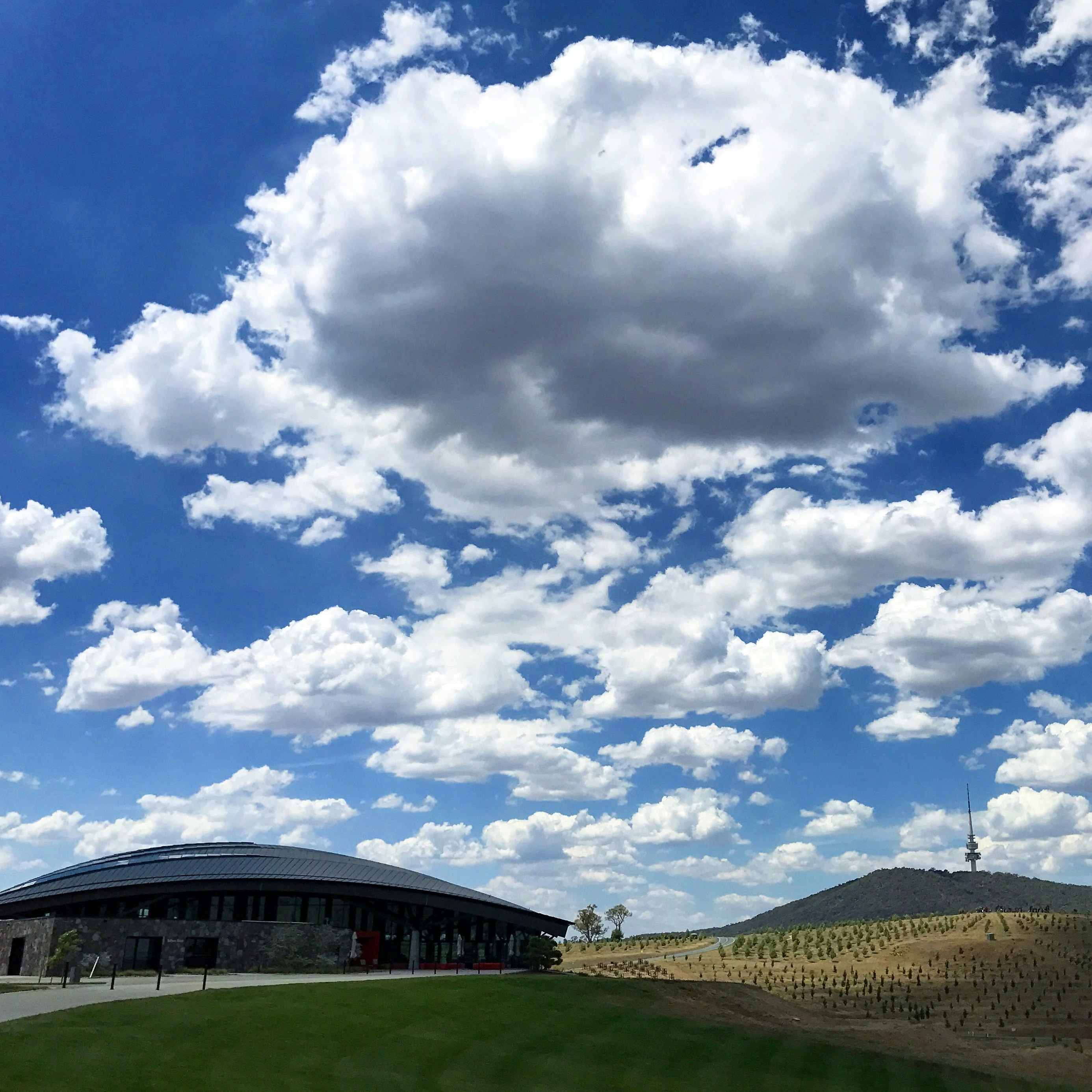 Image of Telstra Tower