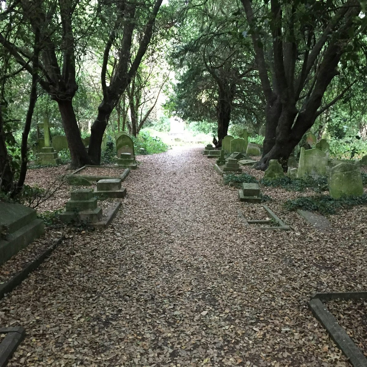 Grave stones in Barnes Old Cemetery