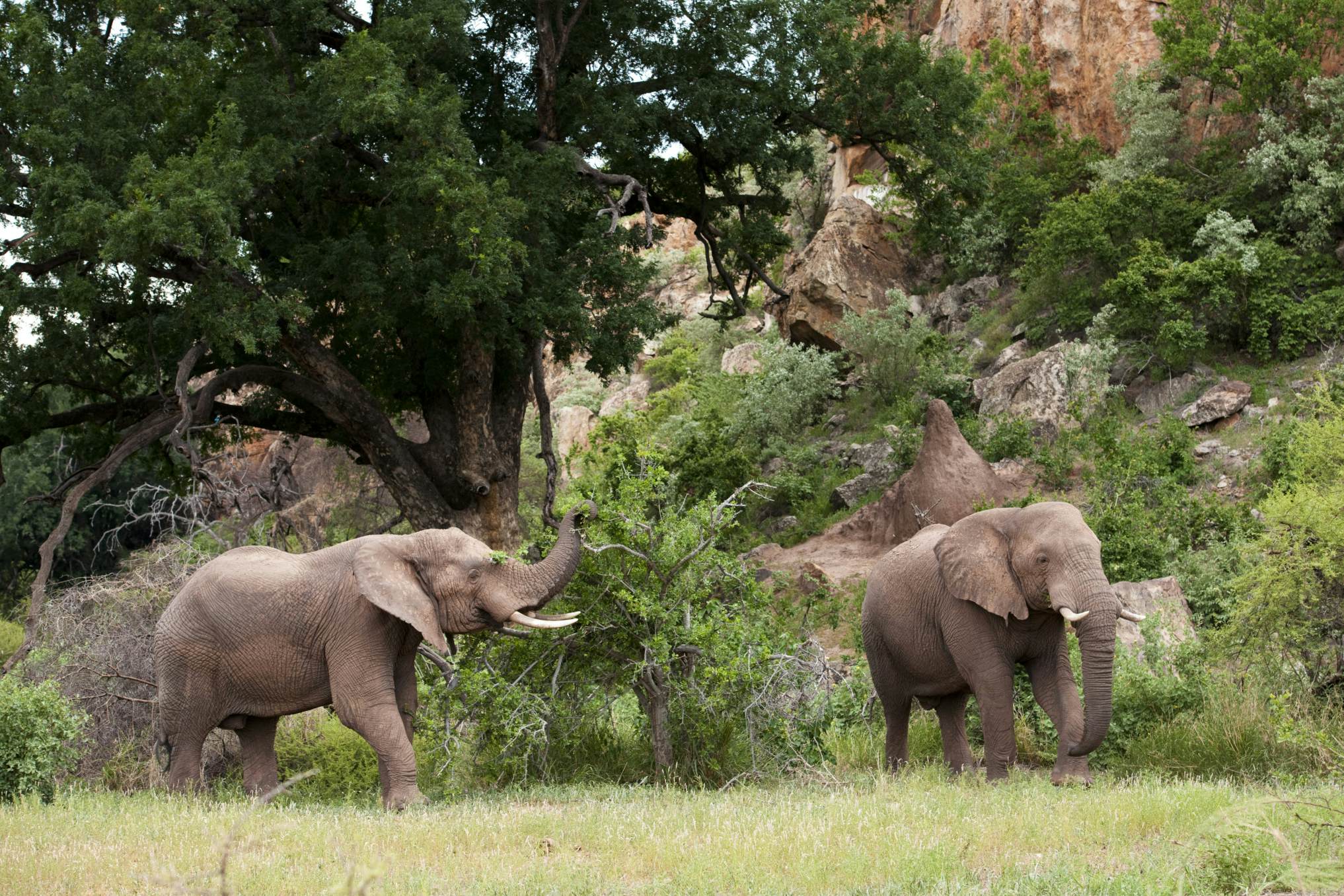 see attractions in Limpopo - Lonely Planet
