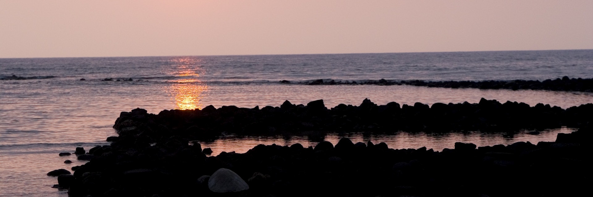 Green Sea Turtle at Kaloko-Hono Kohan National Historical Park, Kailua Kona.