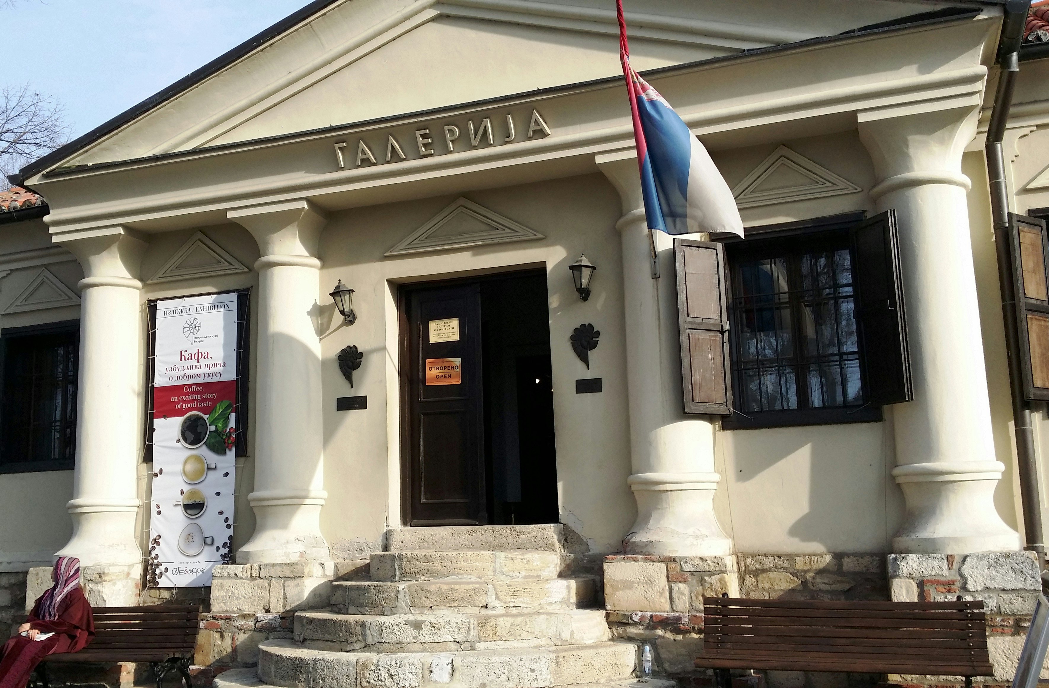 Image of Gallery of the Natural History Museum