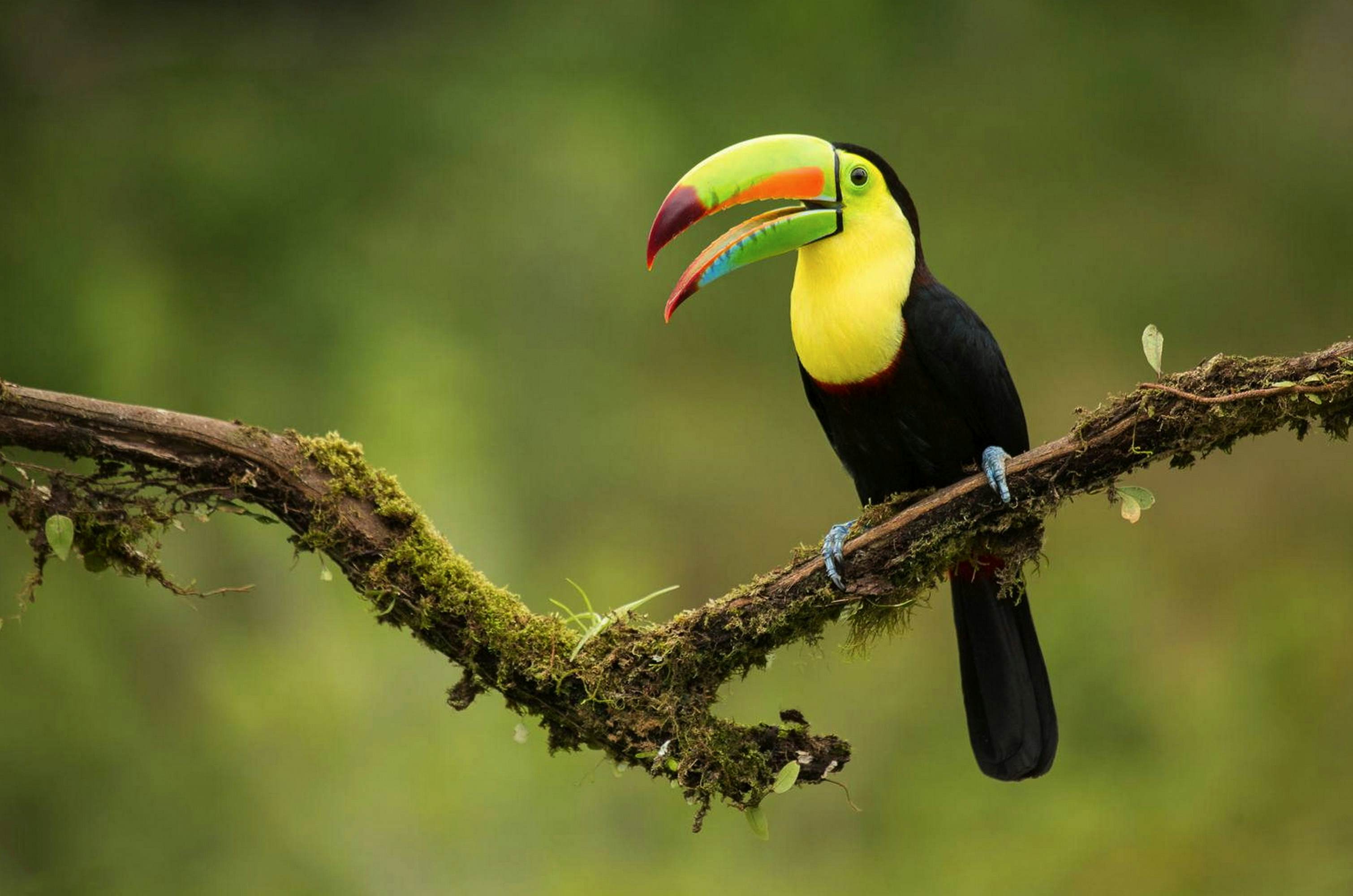 Central America is making new friends