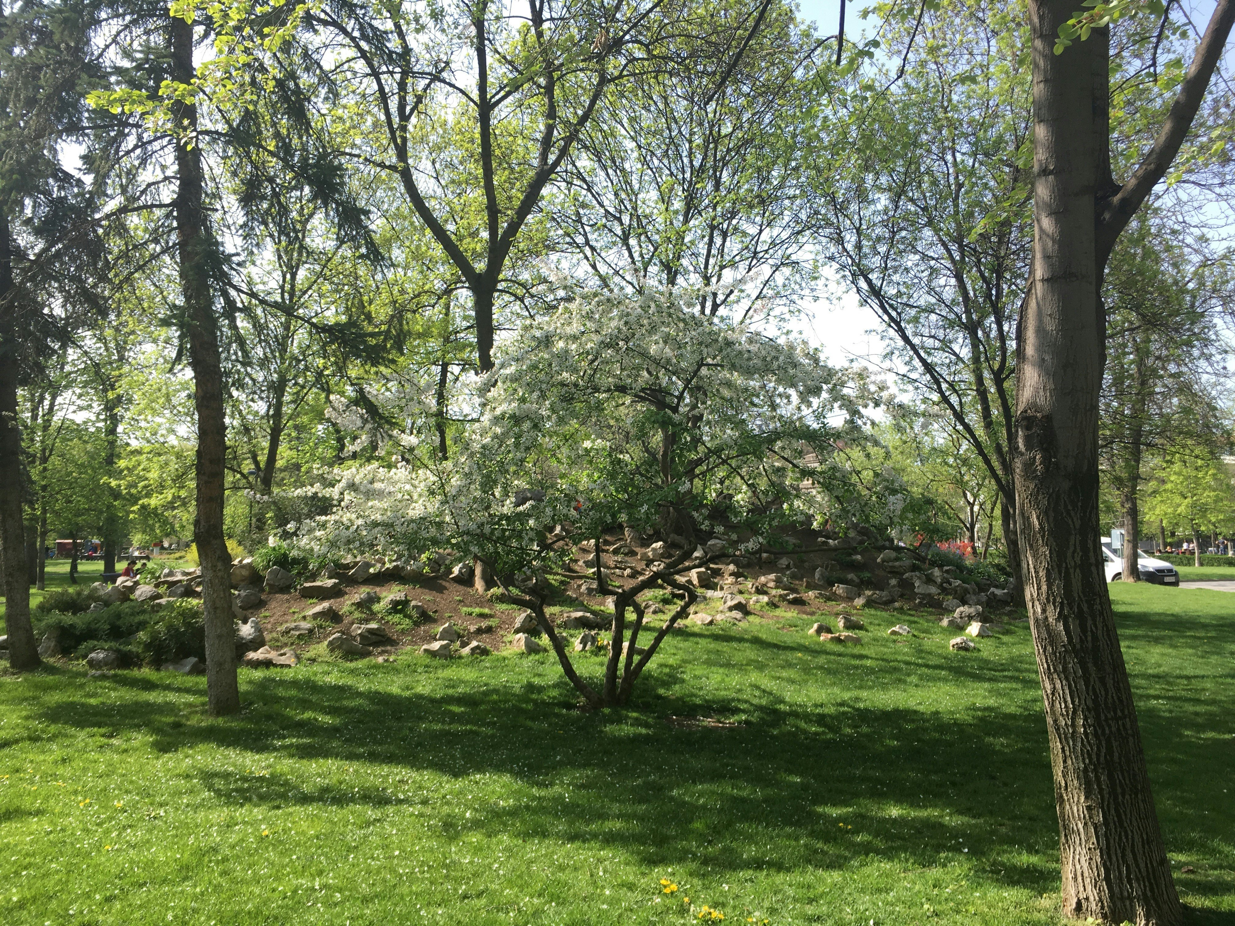 Image of Doctors’ Garden