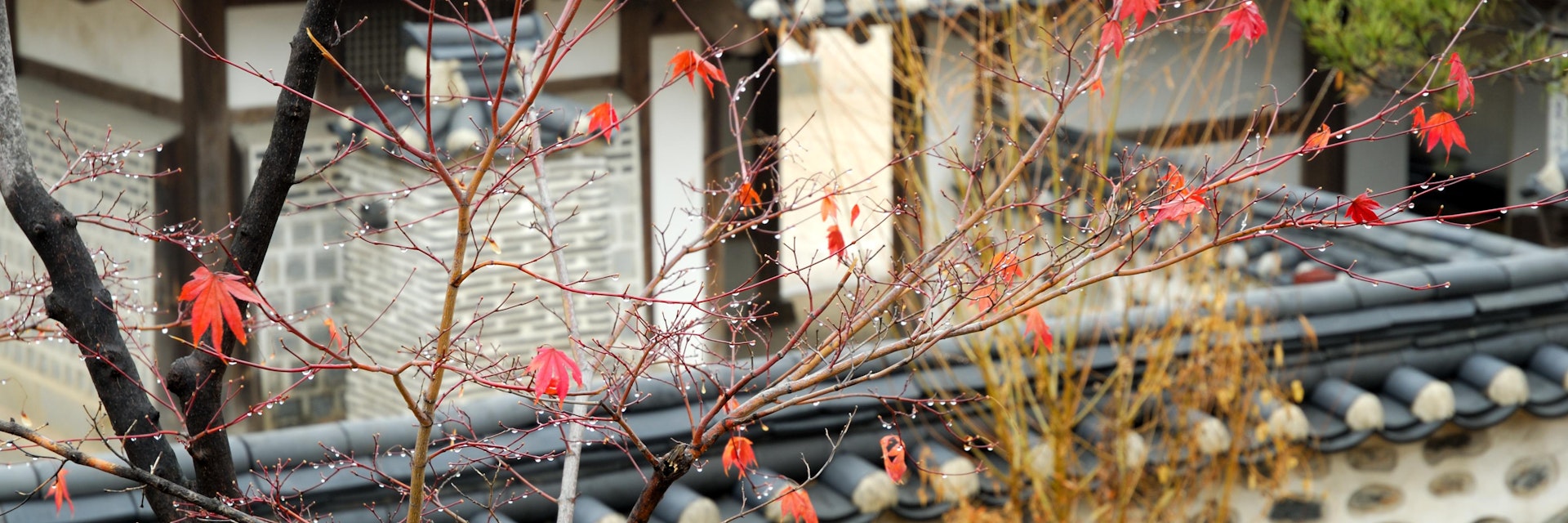 Building in Namsangol Hanok Village, Myong-dong.