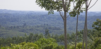 Item photo for undefined