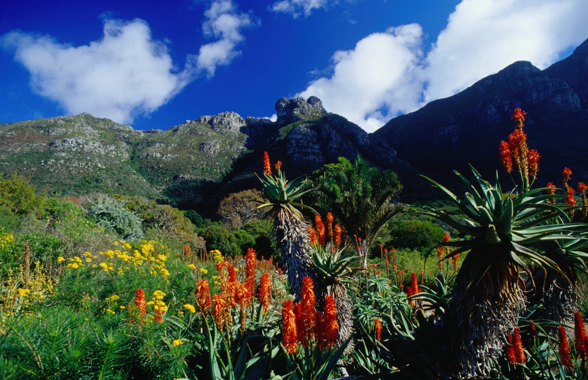 10 best ways to explore Cape Town's V&A Waterfront - Lonely Planet