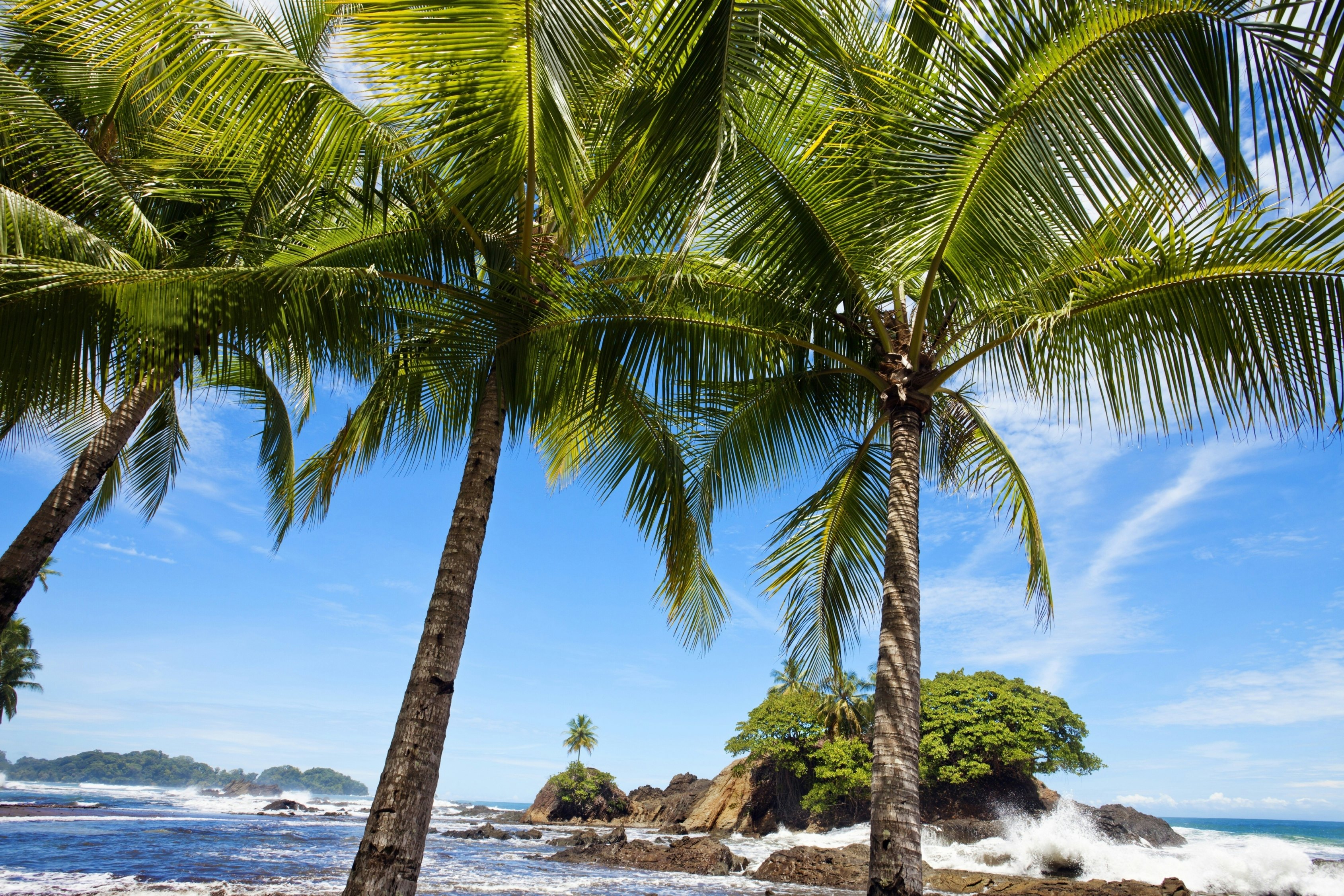 Playa Dominical, Marino Ballena national park, Pacific coast, Costa Rica.
