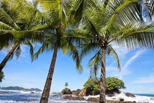 Playa Dominical, Marino Ballena national park, Pacific coast, Costa Rica.