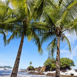 Playa Dominical, Marino Ballena national park, Pacific coast, Costa Rica.