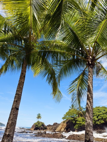 Playa Dominical, Marino Ballena national park, Pacific coast, Costa Rica.