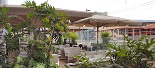 artcaffe clementine