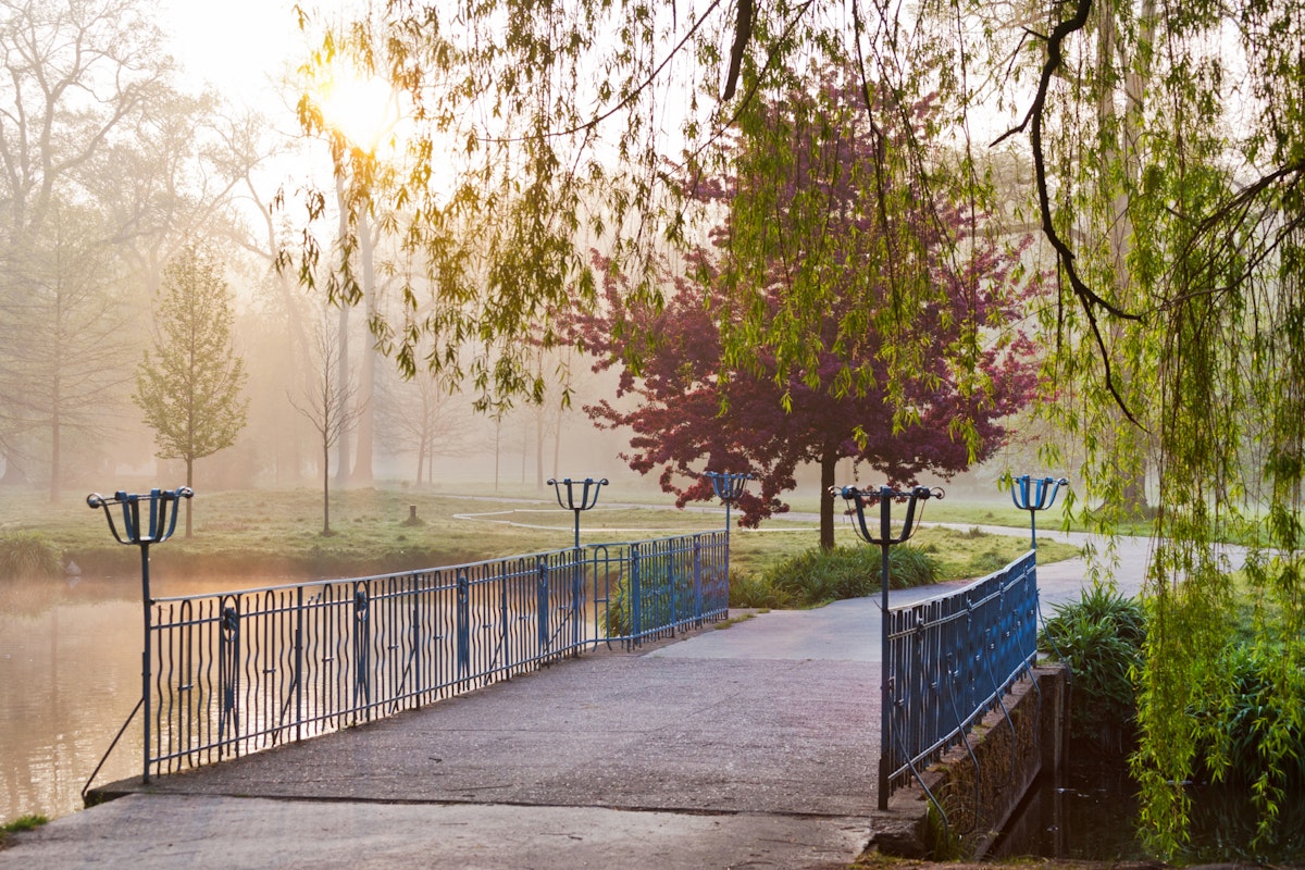 Bridge in the morning misty light, spring garden Stromovka in Prague, Czech republic; Shutterstock ID 228722590; Your name (First / Last): Gemma Graham; GL account no.: 65050; Netsuite department name: Online Editorial; Full Product or Project name including edition: Cities app POI images