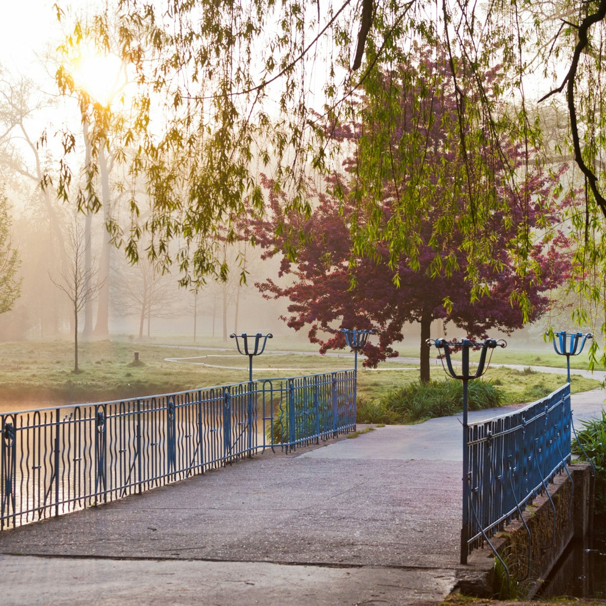 Bridge in the morning misty light, spring garden Stromovka in Prague, Czech republic; Shutterstock ID 228722590; Your name (First / Last): Gemma Graham; GL account no.: 65050; Netsuite department name: Online Editorial; Full Product or Project name including edition: Cities app POI images