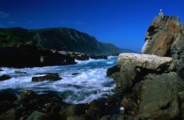 Storms River Mouth.