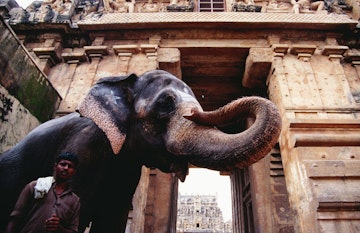 Elephant guarding the gateway to Brihadishwara Temple - Thanjavur, Tamil Nadu