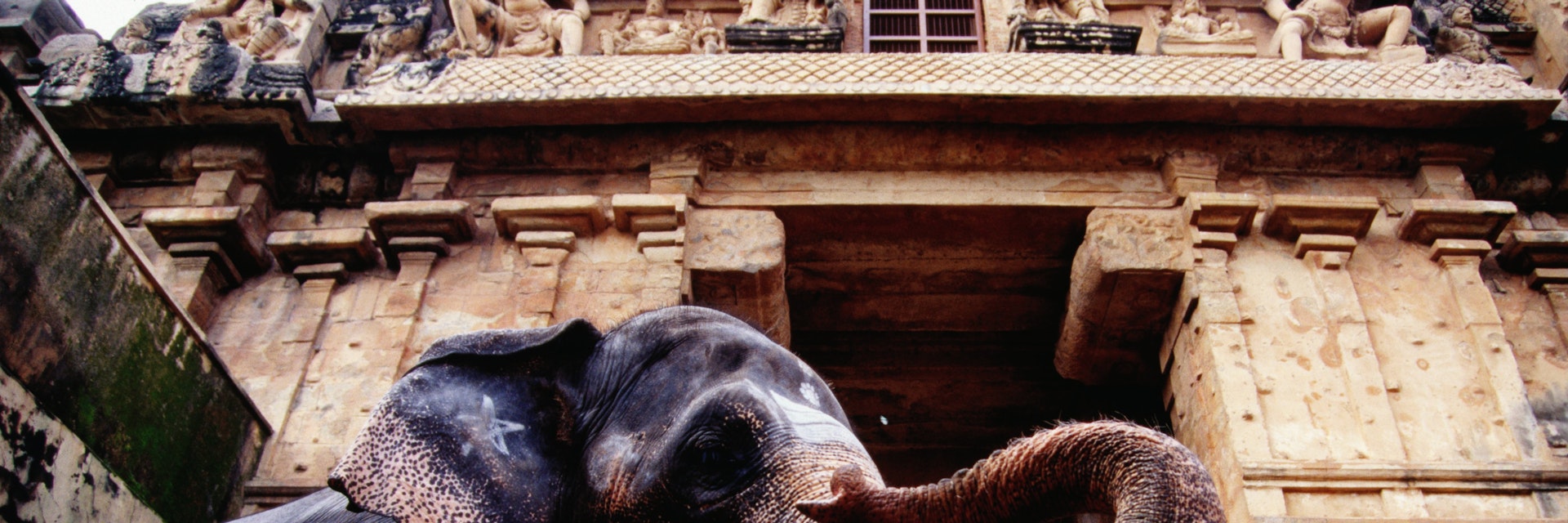 Elephant guarding the gateway to Brihadishwara Temple - Thanjavur, Tamil Nadu