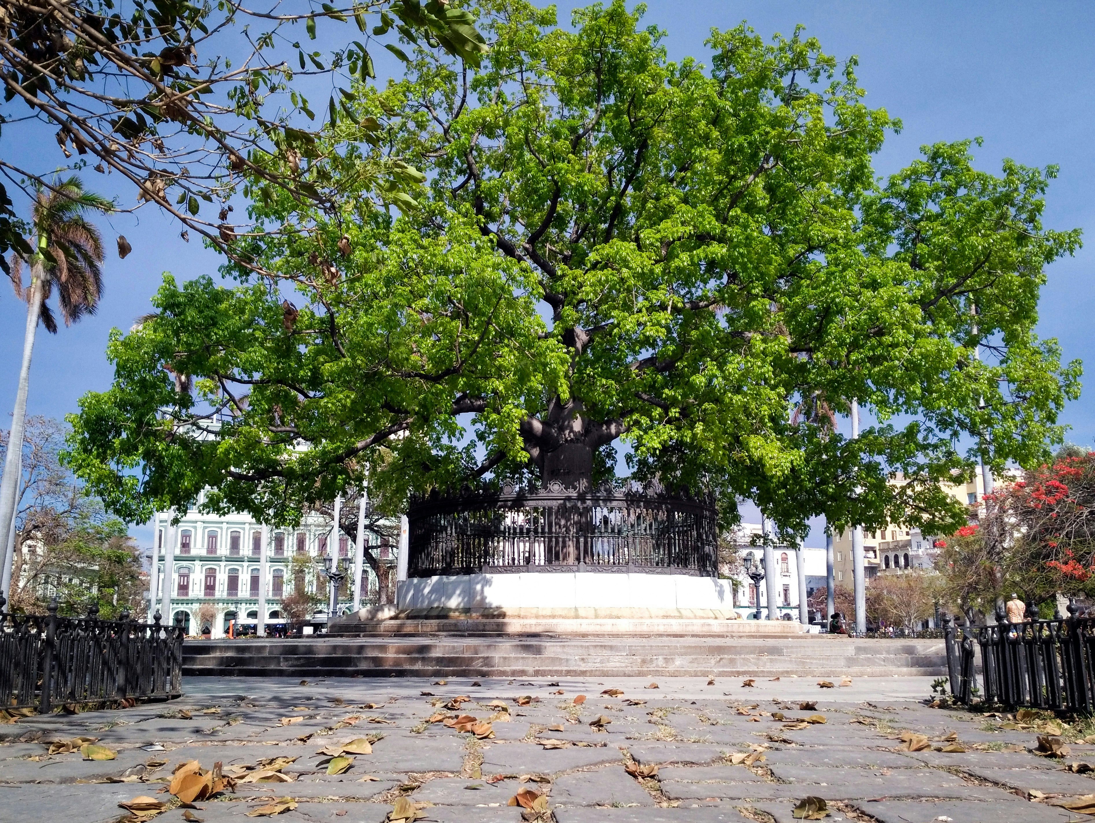 Image of Parque de la Fraternidad
