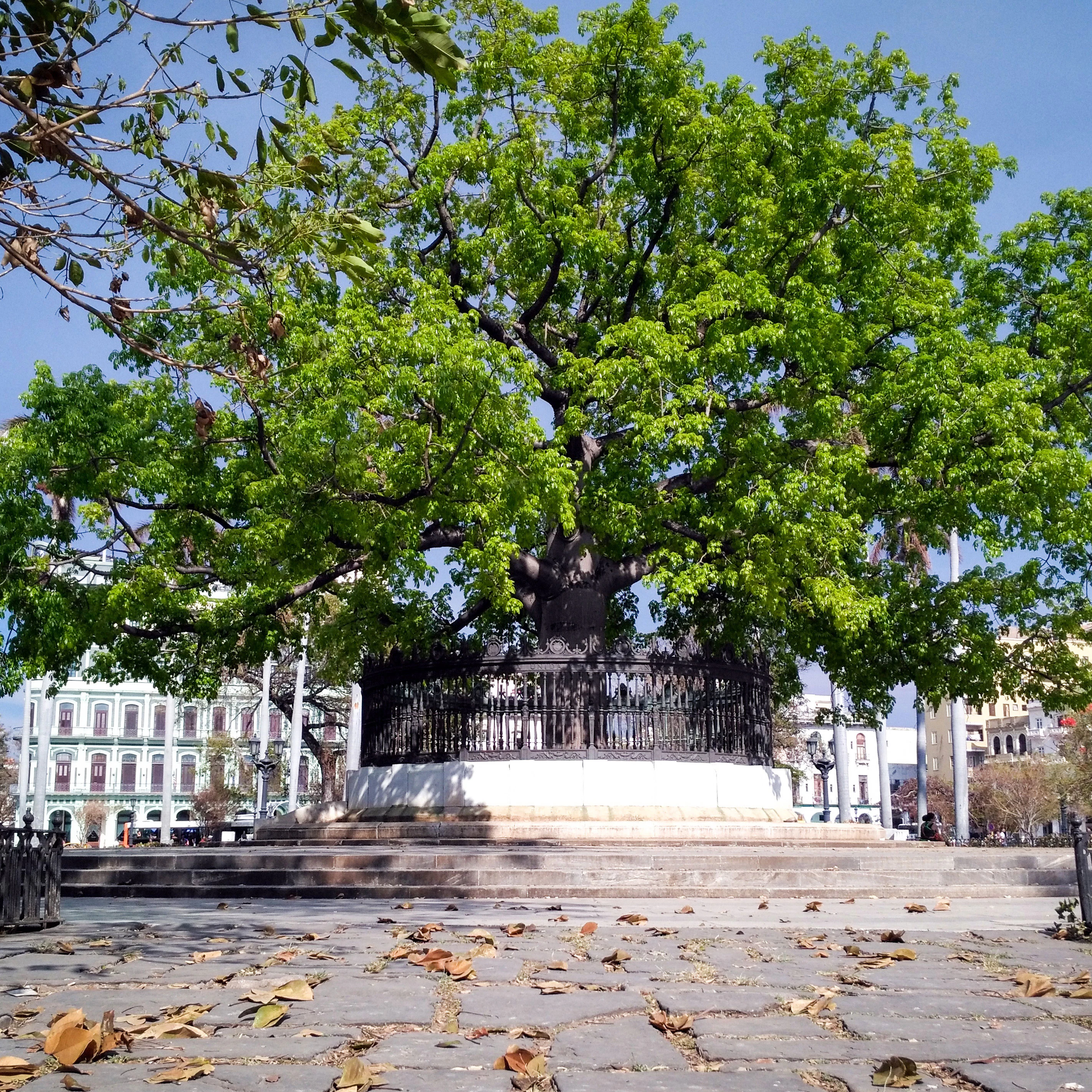 Image of Parque de la Fraternidad