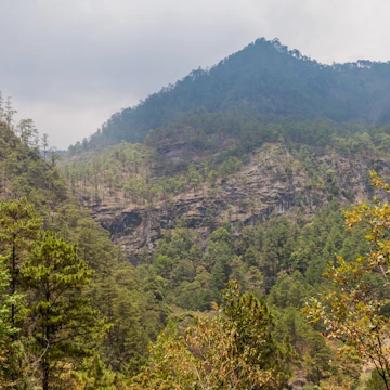 Mountains of National Park Montana de Celaque, Honduras; Shutterstock ID 551391514; Your name (First / Last): William Broich; GL account no.: 65050; Netsuite department name: Online Editorial ; Full Product or Project name including edition: Honduras