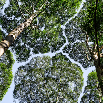 500px Photo ID: 94779049 -