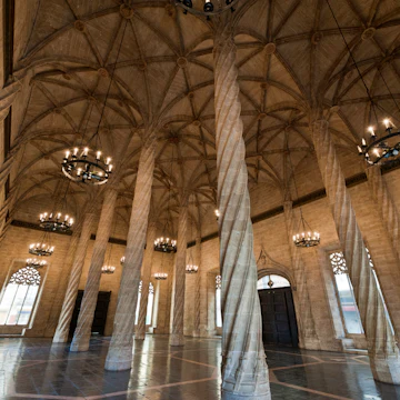 "The slender gothic columns and renaissance vaulted ceiling the the Lonja de la Seda, the Silk Exchange, UNESCO World Heritage Site in the heart of Valencia's old town, Spain. ProPhoto RGB profile for maximum color fidelity and gamut. NB: Slightly grainy ISO 800 image."