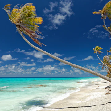 Plage du PK9 Beach (Fakarava atoll)