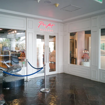 Pro Art Gallery