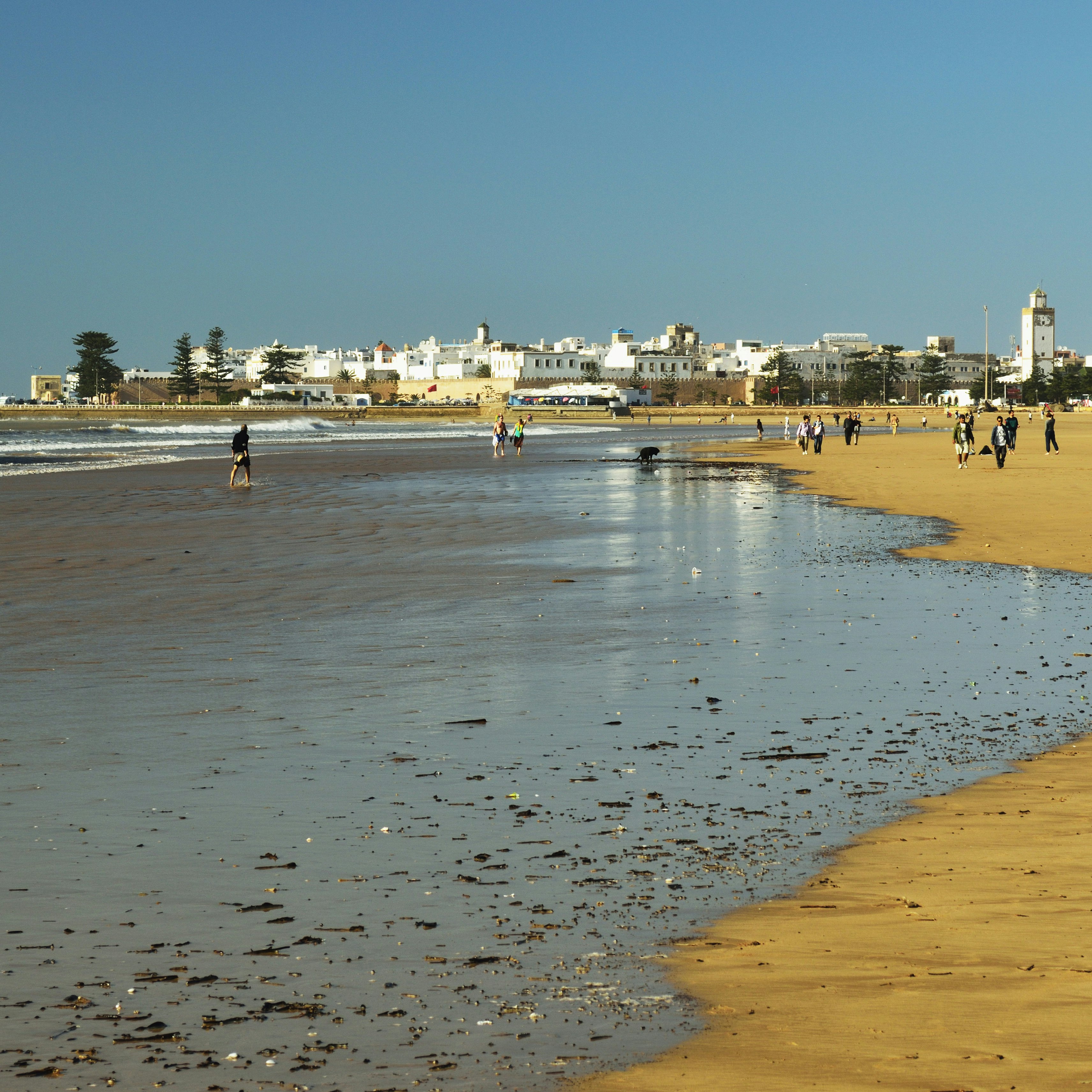 View of Essaouira, Atlantic Coast, Morocco, North Africa, Africa