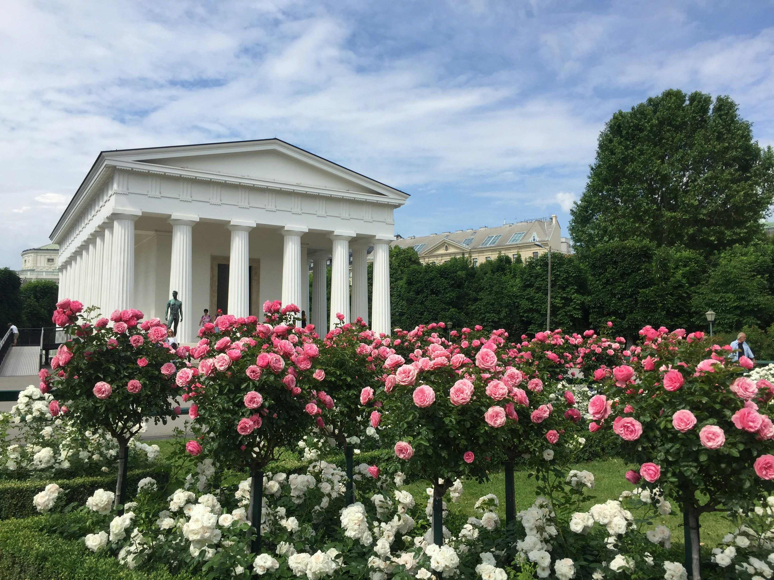 Volksgarten in bloom