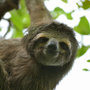 500px Photo ID: 123398001 -