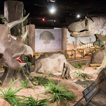 Las Vegas Natural History Museum