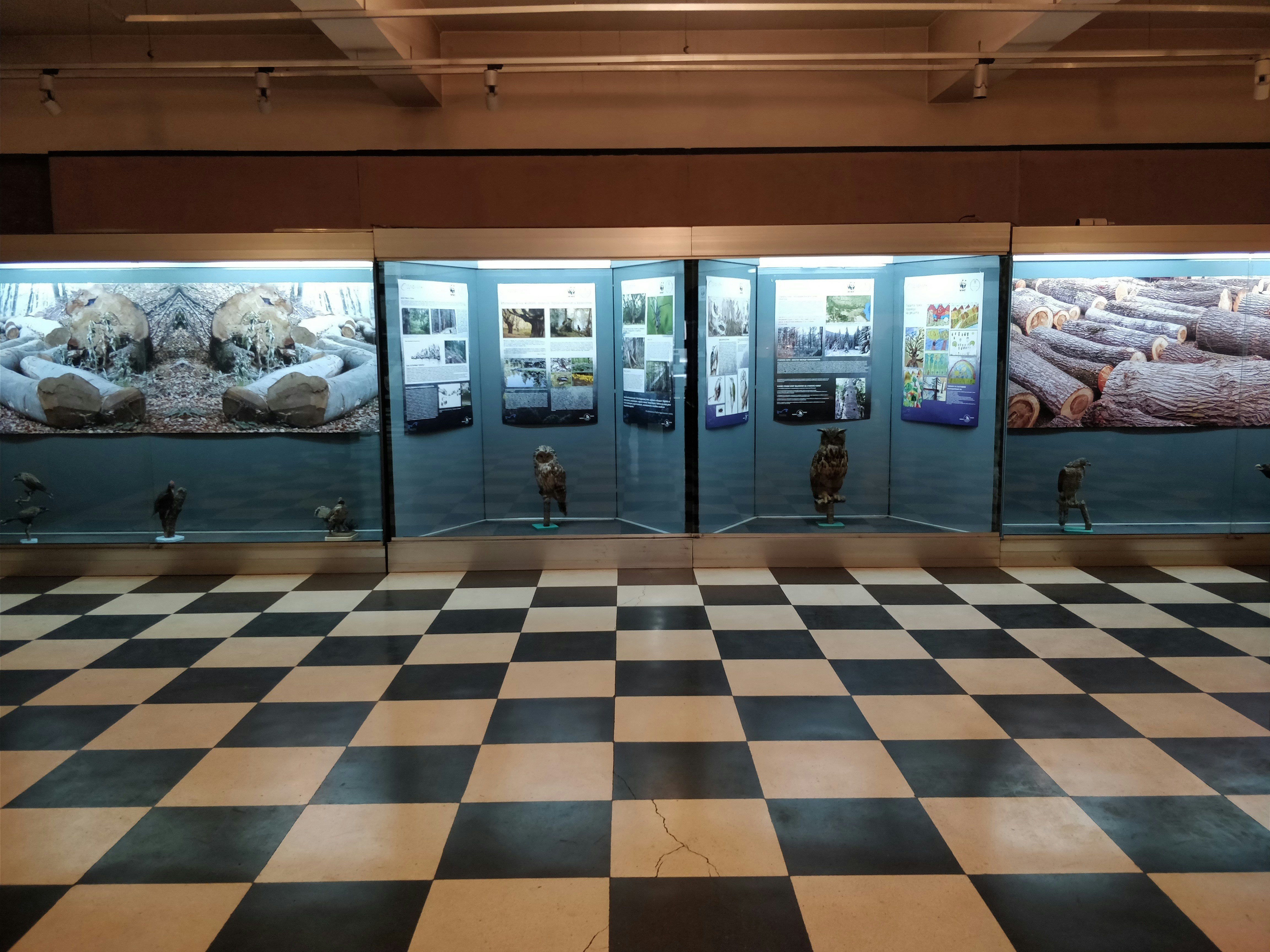 Image of National Museum of Natural History