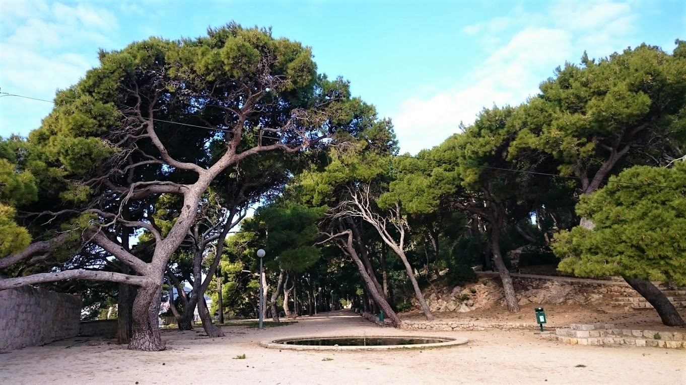 View of the park from the entrance