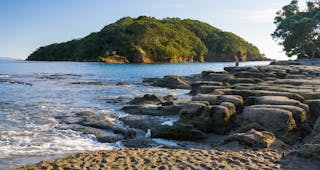 Goat Island Marine Reserve