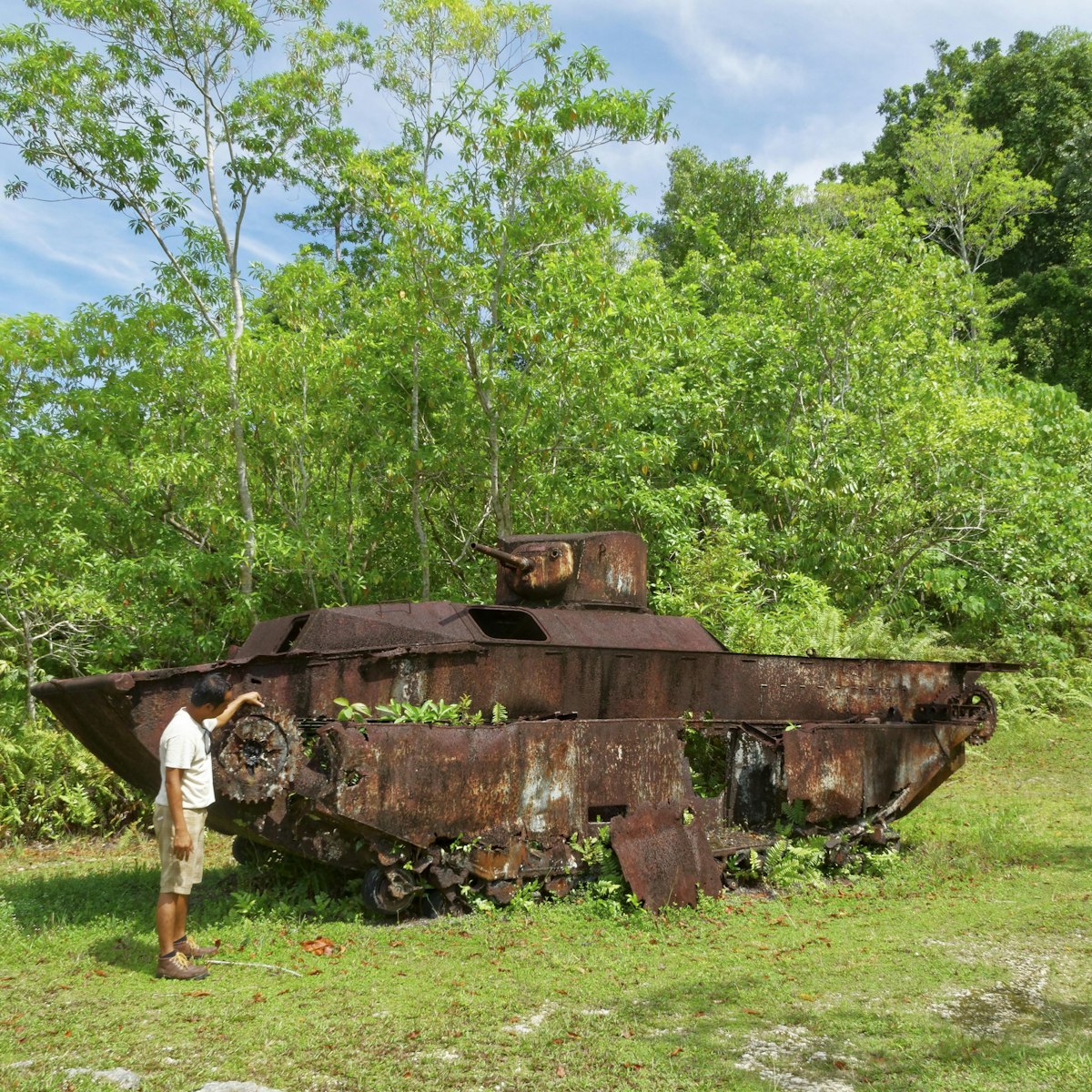 Wrecked LVT A1 Tank, Peleliu Island, Palau