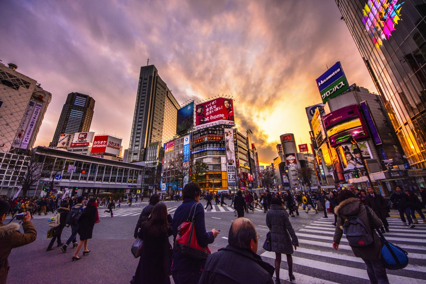 Shibuya Crossing | Tokyo, Japan Attractions - Lonely Planet